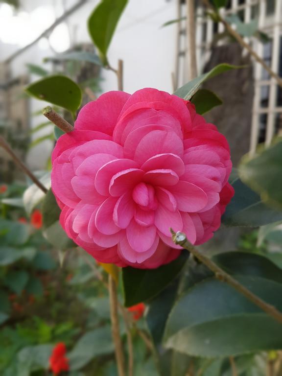 吾居吾宿 Zhixue Luaran gambar